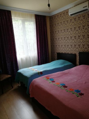 Гостиница Guest House Andria  Сарпи